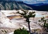 Volcanic caldera, Yellowstone NP, Wyoming