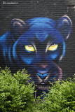 Street Art Ede