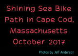 Shining Sea Bike Path (October 2017)