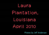 Laura Plantation cover page.