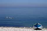 Pays de Caux
