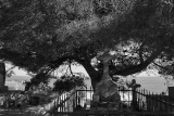 IMG_000702BW.jpg