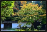 Autumn in Nanzen-Ji.