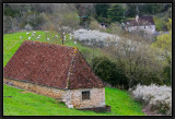 Printemps en Auvergne.