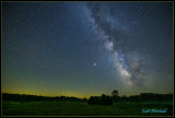 Fireflies mimic Milkyway