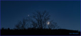 Crescent moon & Venus from my backyard.