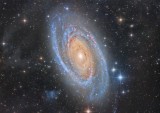 M 81 and IFN