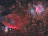 Orion and Horsehead Nebula