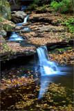 DSC_0418_1.jpg