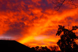 DSCF0988.jpg
