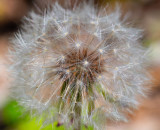 DSC_1918.jpg