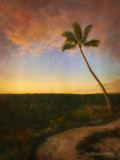 *******Gallery******* Spirit of Pu'uhonua
