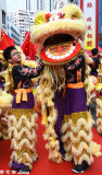 Preparing lion dance DSC_8681