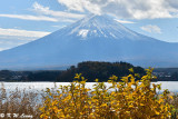 Mount Fuji DSC_2049