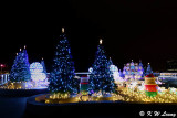 Christmas Lighting Garden DSC01374