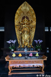 Statue of Bodhisattva Weituo DSC_3319