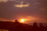 Sunset in Nalaty Grassland