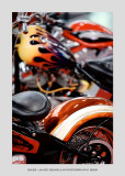 Bikes