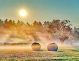 Bales & Ground Fog P1420767-73