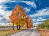 Autumn Back Road DSCN03050-2