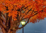 Autumn Canal Light DSCN04085-7