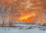Frosty Winter Sunrise DSCN09144-6