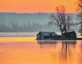 Cottage On Gemmels Point At Sunrise DSCN11712-4