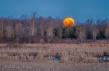 Moon Setting Beyond The Swale P1520983-9