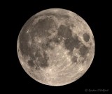 Buck Moon In Penumbral Eclipse DSCN23930