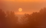 Sun Rising Through Fog DSCN28755