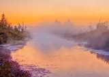 Foggy Irish Creek At Sunrise DSCN32164