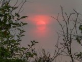 Clouded Red Sun DSCN34941.8