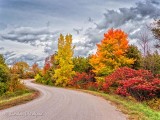 Autumn Back Road DSCN35334