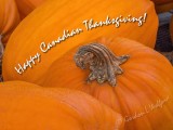 Happy Canadian Thanksgiving! DSCN35848