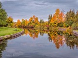Autumn Kilmarnock Canal Cut DSCN34362
