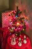2020 Christmas Tree DSCN42778