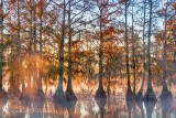 Autumn Lake Martin 25894