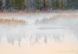 Misty Rideau Canal At Sunrise DSCN53689