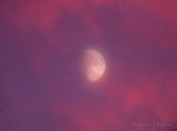 Moon Shining Through Sunset Clouds DSCN71831