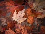 Fallen Late Autumn Leaves DSCN85860 (art1)