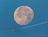 The Plane Flew Under The Moon DSCN86060
