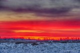 Winter Sunrise 90D11381-5