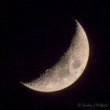 Waxing Crescent Moon DSCN88203