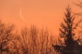 Crescent Moon 4% Illuminated DSCN88755