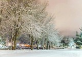 20220203 Snowfall At Night 90D14453