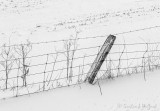 Winter Fence DSCN90119BW