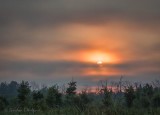 Sun Rising Beyond Lifting Fog DSCN105098-00