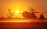 Rising Sun Beyond Ground Fog 90D34302-6