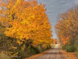 Autumn Back Road DSCN113378