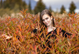 Aurora Fireweed 9923 final-.jpg